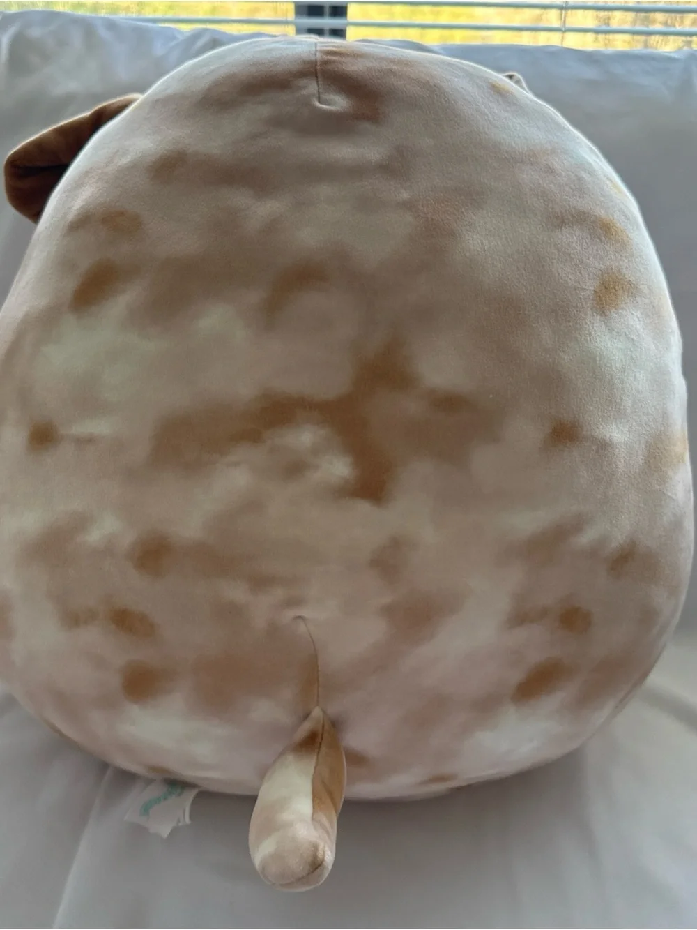 Bronk the Bulldog Squishmallows Brown and Cream Plush Dog Pillow Like New